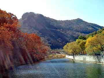 新澳天天开奖资料大全旅游团，东菱集团